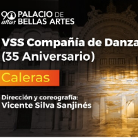 Palacio en movimiento - VSS Compañía de Danza