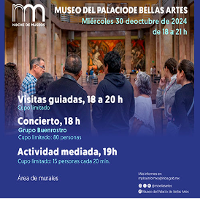 Noche de Museos en el Palacio de Bellas Artes