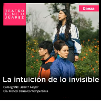 La intuición de lo invisible