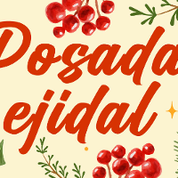 POSADA EJIDAL 2025