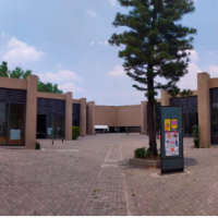 Ecos en Movimiento: Música, Marcha y Memoria